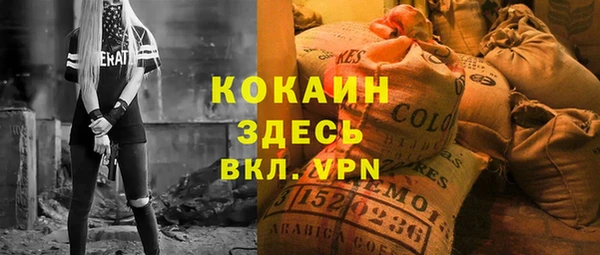 метадон Алексин